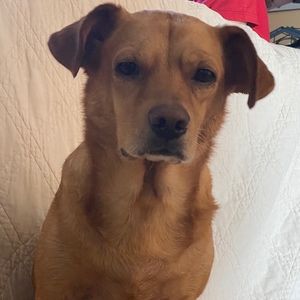 Meet your Posher, Katrina